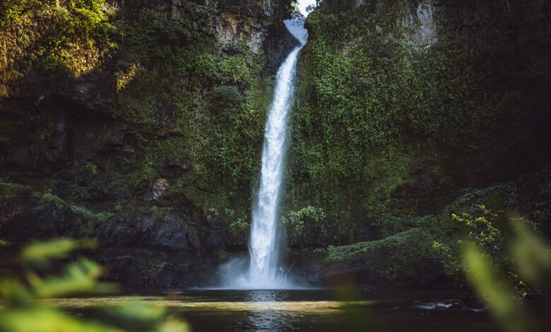 Nandroya Falls – Wander- und Wasserfallführer