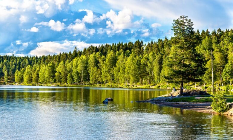 oslo-hiking-trails-Sognsvann lake north of Oslo