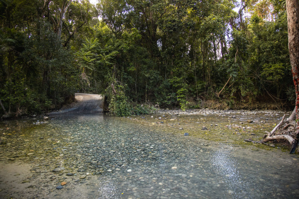 How To Get To Emmagen Creek Swimming Hole Cape Tribulation