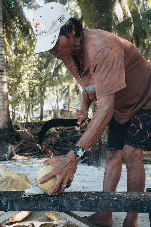 Kokosnüsse auf den philippinischen Inseln