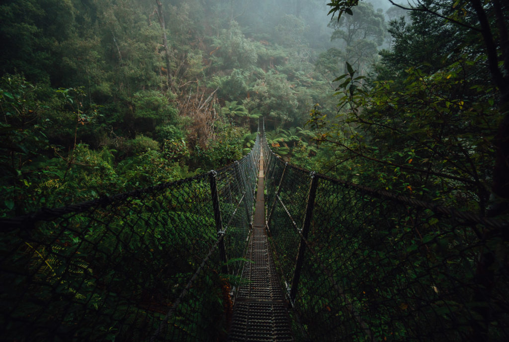 MONTEZUMA FÄLLE HÄNGEBRÜCKE