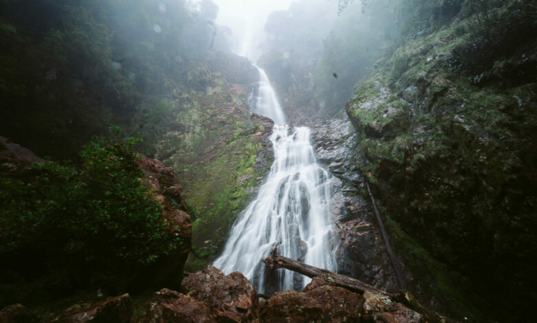 Montezuma Falls Tasmanien – Ist das der höchste Wasserfall Tasmaniens?