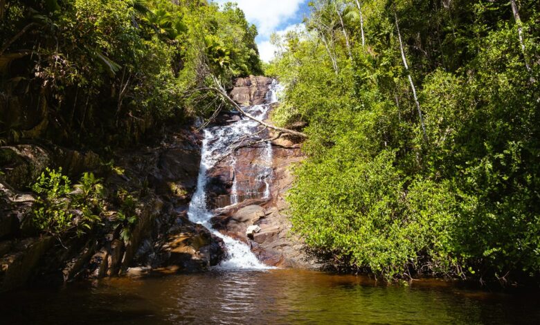 Sauzier Waterfall – Erstaunlicher Mahe-Wasserfall in Port Glaud (Seychellen)