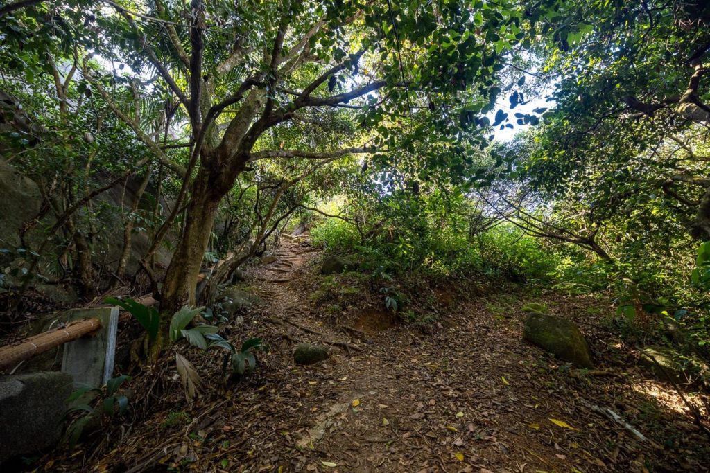 Wanderung auf dem Anse Major Nature Trail auf Mahe