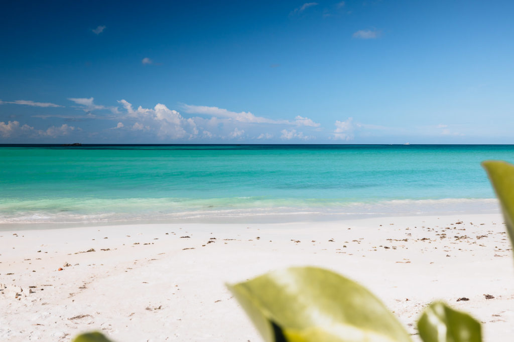 Anse Kerlan, Strand der Insel Praslin, Seychellen