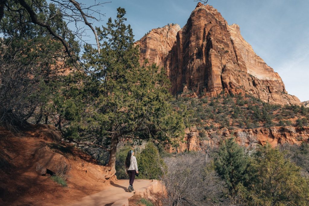 Lower Emerald Falls Trail im Zion National Park