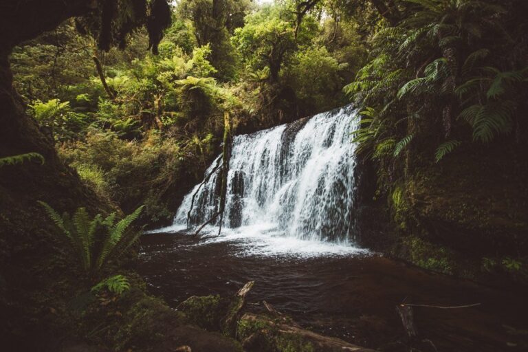 PUNEHU-FÄLLE AUF DER WAIPOHATU-WASSERFALL-SCHLEIFE