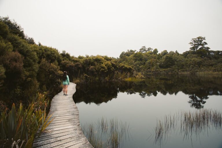 LAKE WILKIE TRACK IN DEN CATLINS