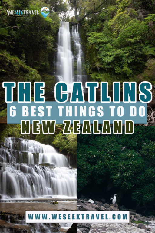 Die 6 besten Aktivitäten in Catlins