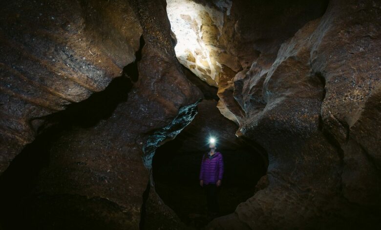 Clifden Caves Glühwürmchenhöhlen – Neuseeland Südinsel