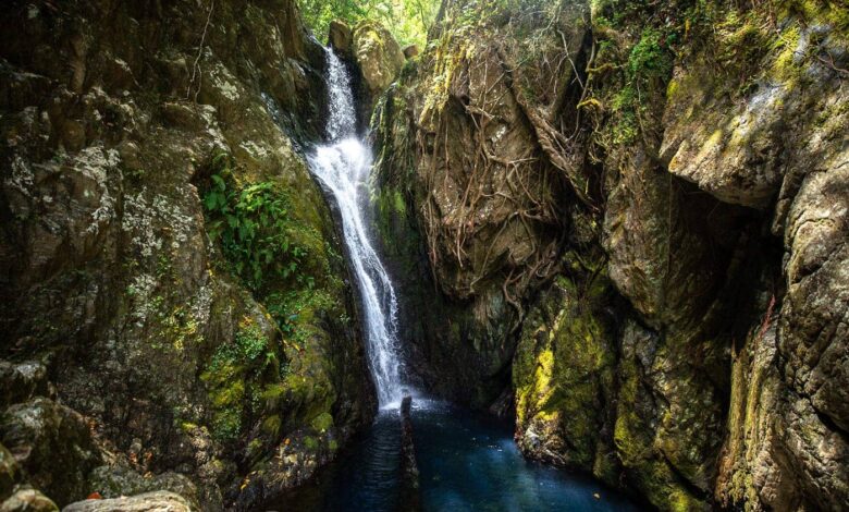 Fairy Falls Cairns – Der versteckte Wasserfall bei den Crystal Cascades