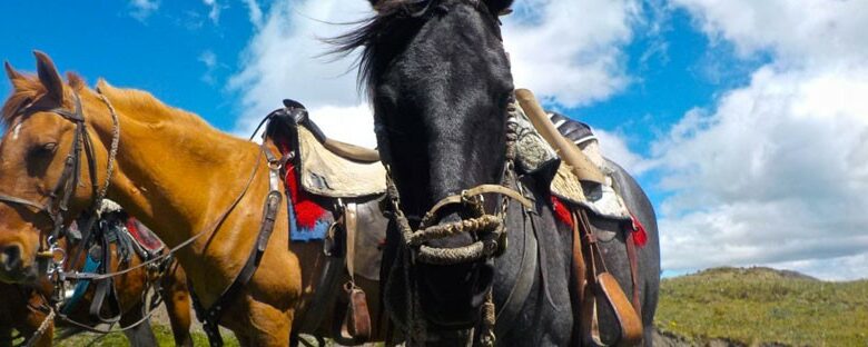 Horse riding in Cotopaxi, Ecuador
