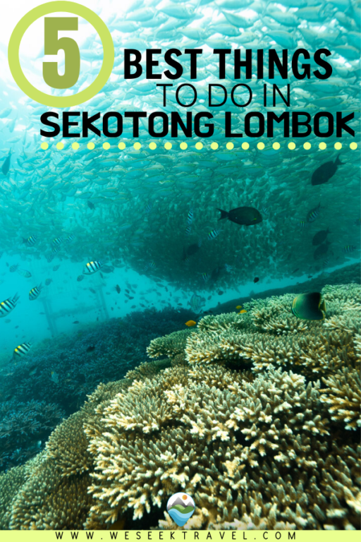 Die besten Aktivitäten in Sekotong Lombok