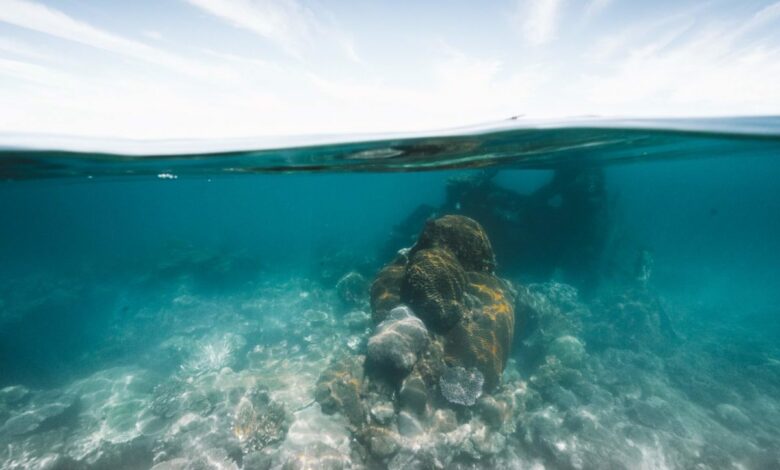 Geoffrey Bay: Rock Wallabies entdecken & Wrackschnorcheln auf Magnetic Island