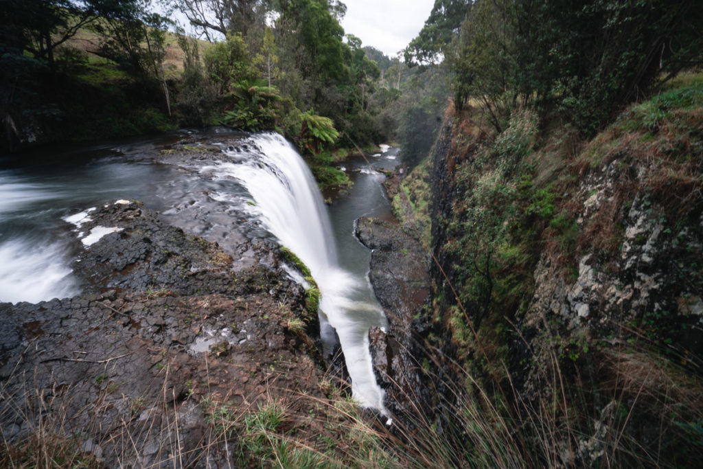 GUIDE FALLS TASMANIEN