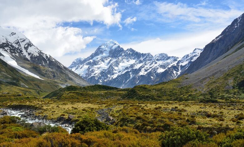 Neuseelands Fjorde: Naturwunder der Südhalbkugel