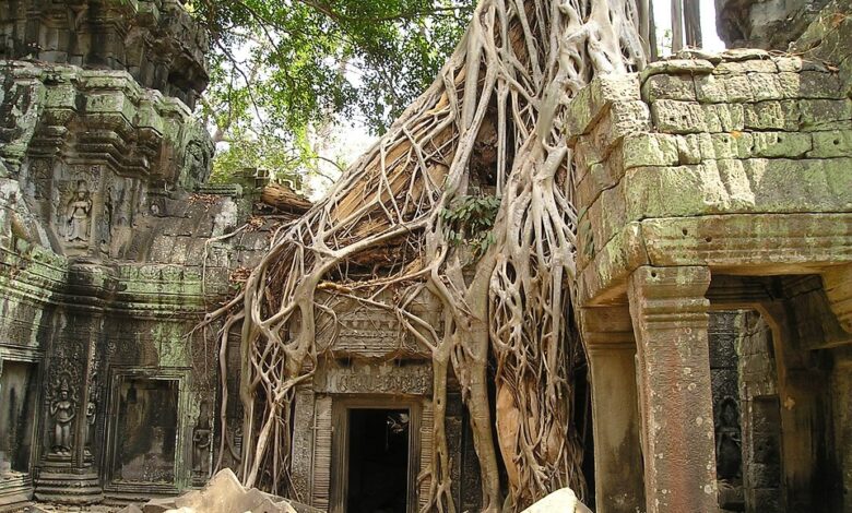 Angkor Wat: Kambodschas Architektonisches Meisterwerk