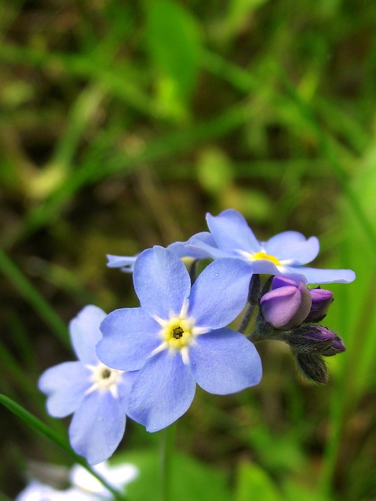 Tagesausflüge Niedersachsen: Unvergessliche Erlebnisse