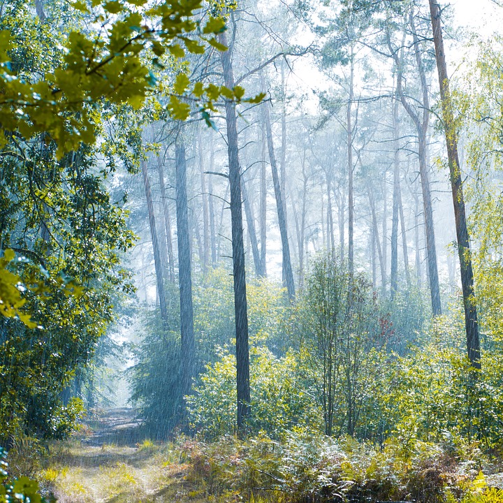 Tagesausflug Rheinland-Pfalz: Entdecke die Schönheiten des Bundeslandes