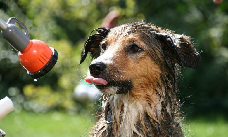 Wetter und Natur