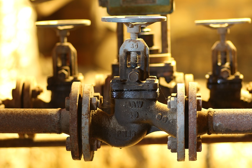 Brandenburg an der Havel: Geschichte, Natur und Geheimtipps entdecken