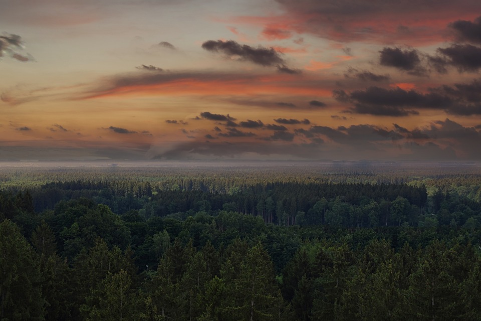 Ebersberg entdecken: Natur, Kultur und Abenteuer für die ganze Familie