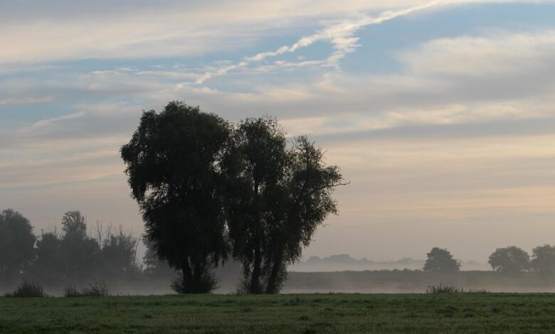 Lüchow-Dannenberg