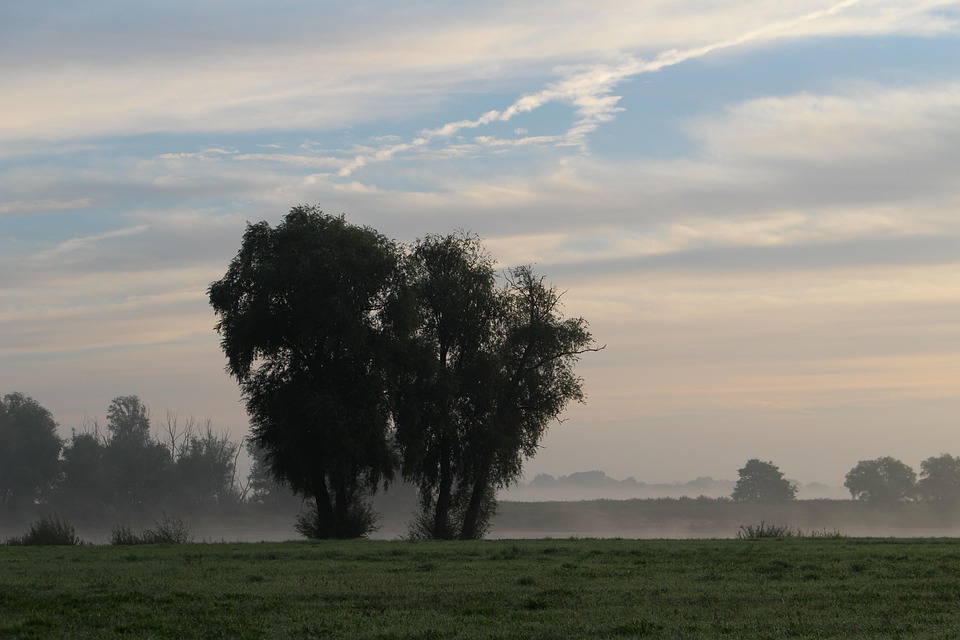 Entdecke Lüchow-Dannenberg: Landschaften, Kultur und geheime Schätze