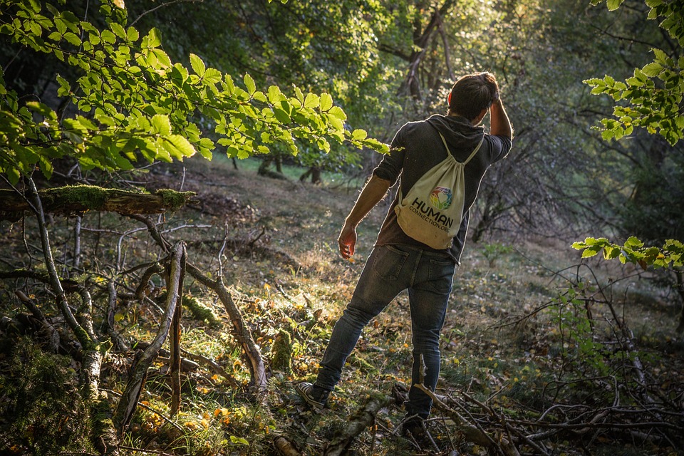 Main-Taunus-Kreis: Ein Abenteuer zwischen Natur, Genuss und Kultur