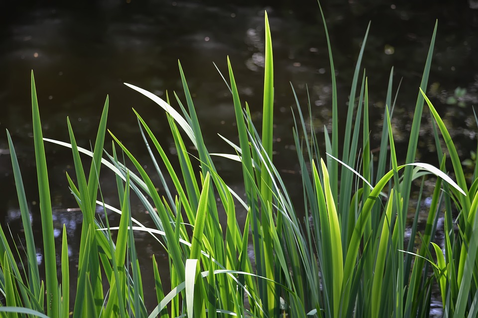 Unentdecktes Dingolfing-Landau: Natur, Kultur und Abenteuer erleben