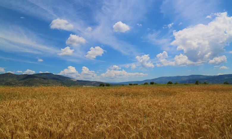 Nürnberger Land