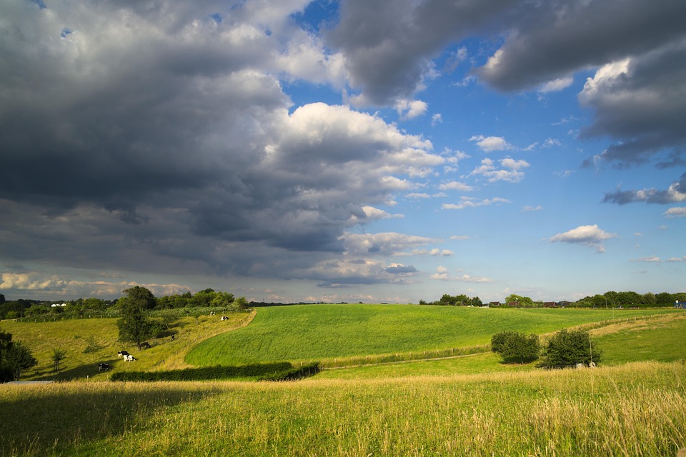 Rheinisch-Bergischer Kreis: Entdecke Städte, Natur und kulinarische Schätze!