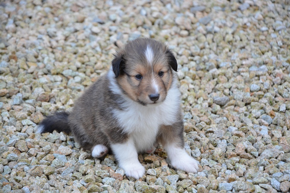 Saale-Orla-Kreis: Entdecke Natur, Kultur und versteckte Juwelen