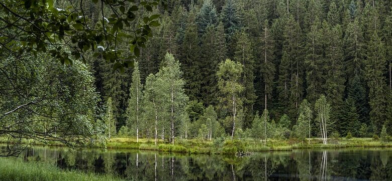 Schwarzwald-Baar-Kreis