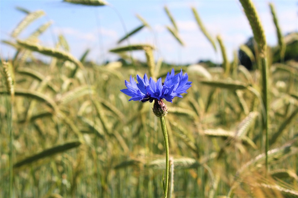 Stormarn erleben: Natur, Geschichte und Spaß für die ganze Familie