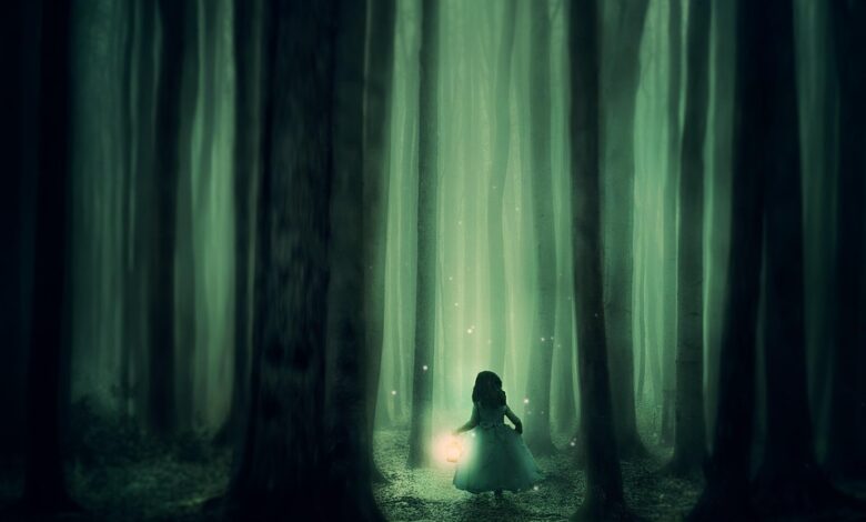 Abenteuerreise