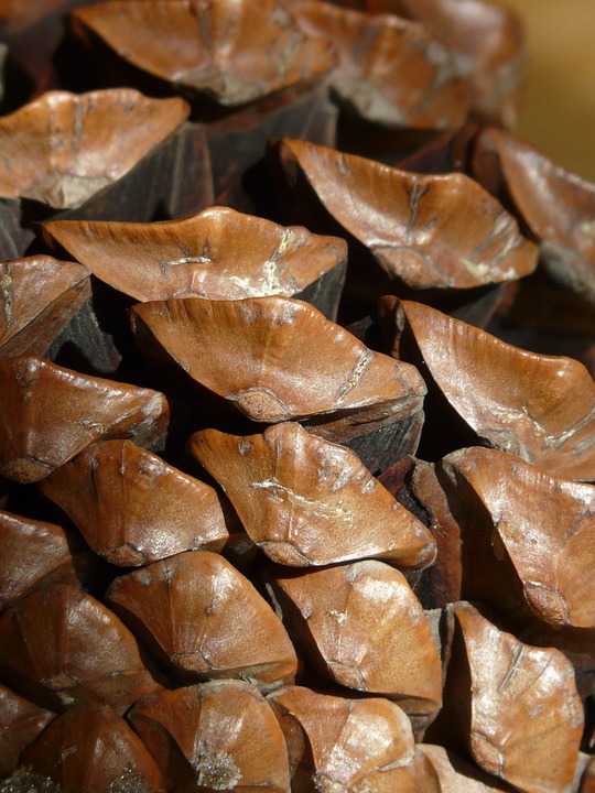 Aby Reisen insolvent: DRSF sichert Entschädigungen für Reisende!