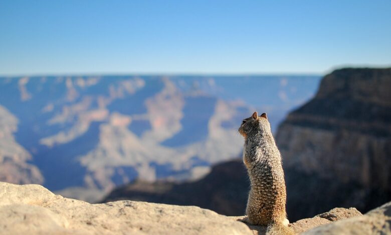 Reise