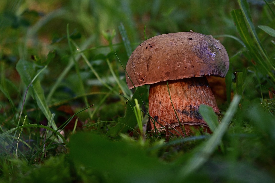 All-inclusive: Gen Z entdeckt den Luxus ohne Planungsstress!