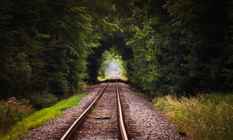 Reise