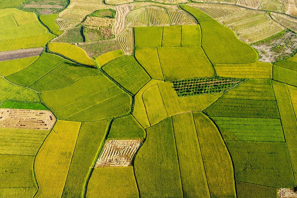 Bac Tra My: Entdecken Sie das verborgene Touristenziel Vietnams!