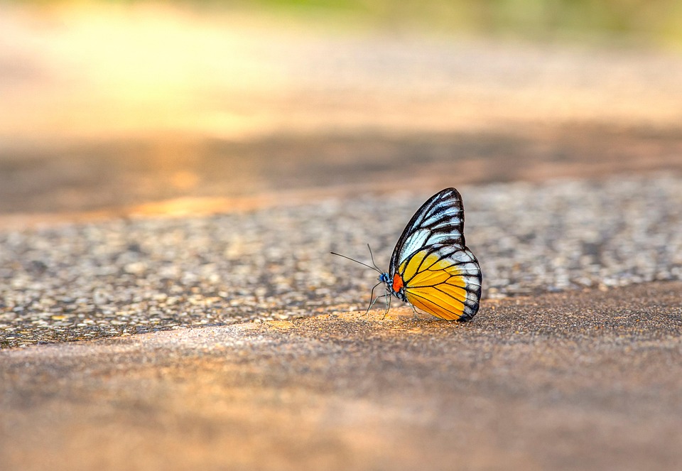 Bali am Abgrund: Overtourismus droht den Urlaubstraum zu zerstören!