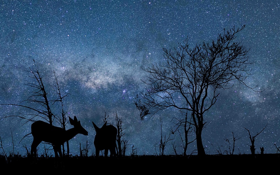 Bich Dam: Aufbruch zum nachhaltigen Tourismus in Nha Trang!