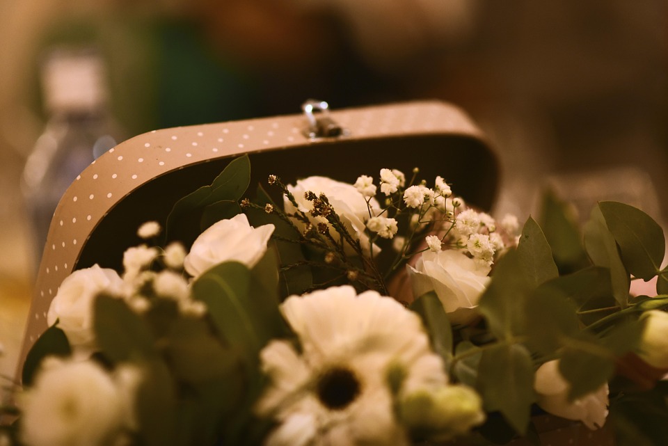 Dani als Andrea Berg-Double begeistert: Verwirrung bei Roland Kaiser!