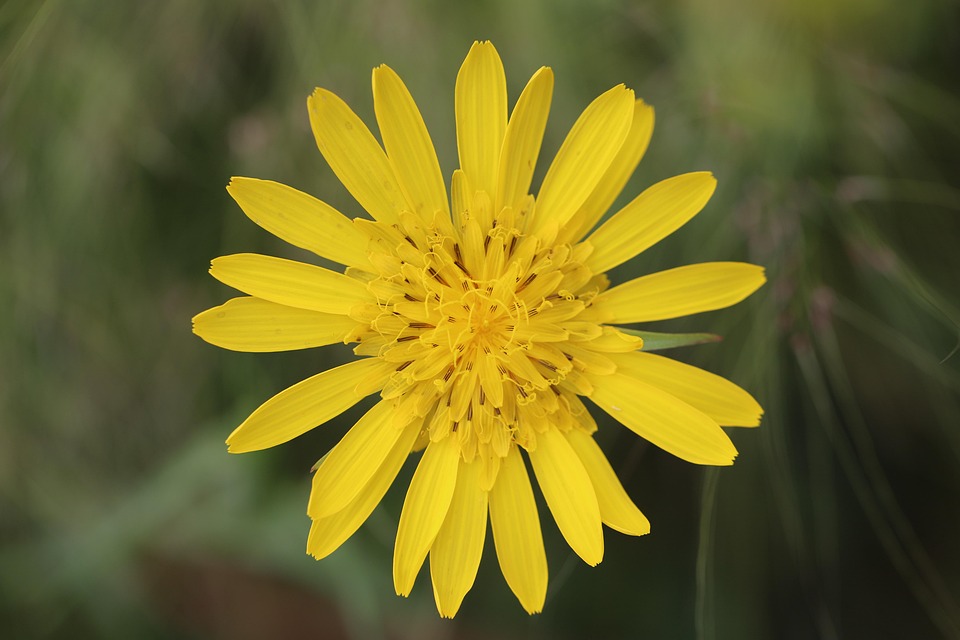 Der perfekte E-Book-Reader für Ihren nächsten Sommerurlaub!