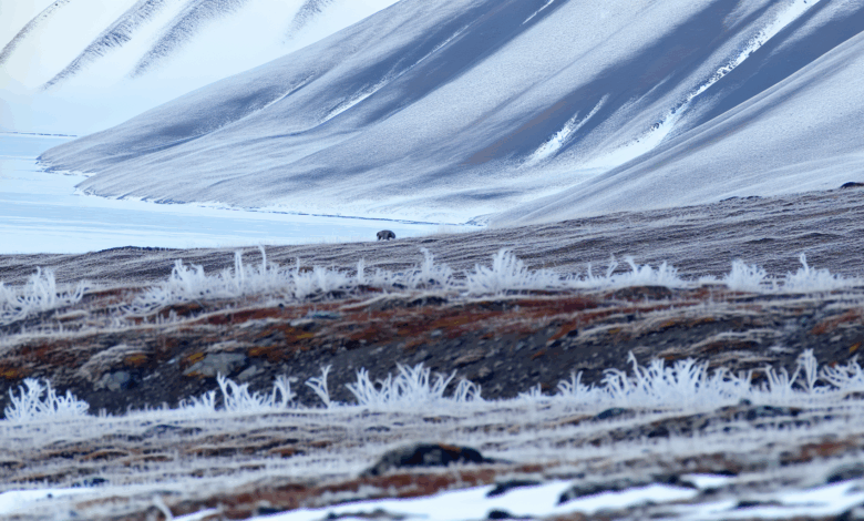 Die arktische Wildnis von Spitzbergen