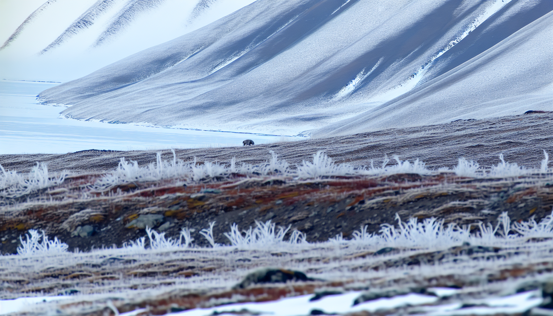 Die arktische Wildnis von Spitzbergen