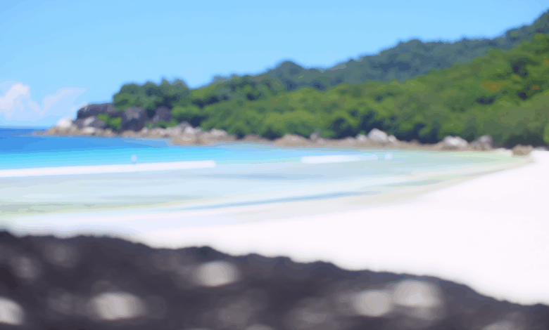 Die unberührten Strände der Seychellen