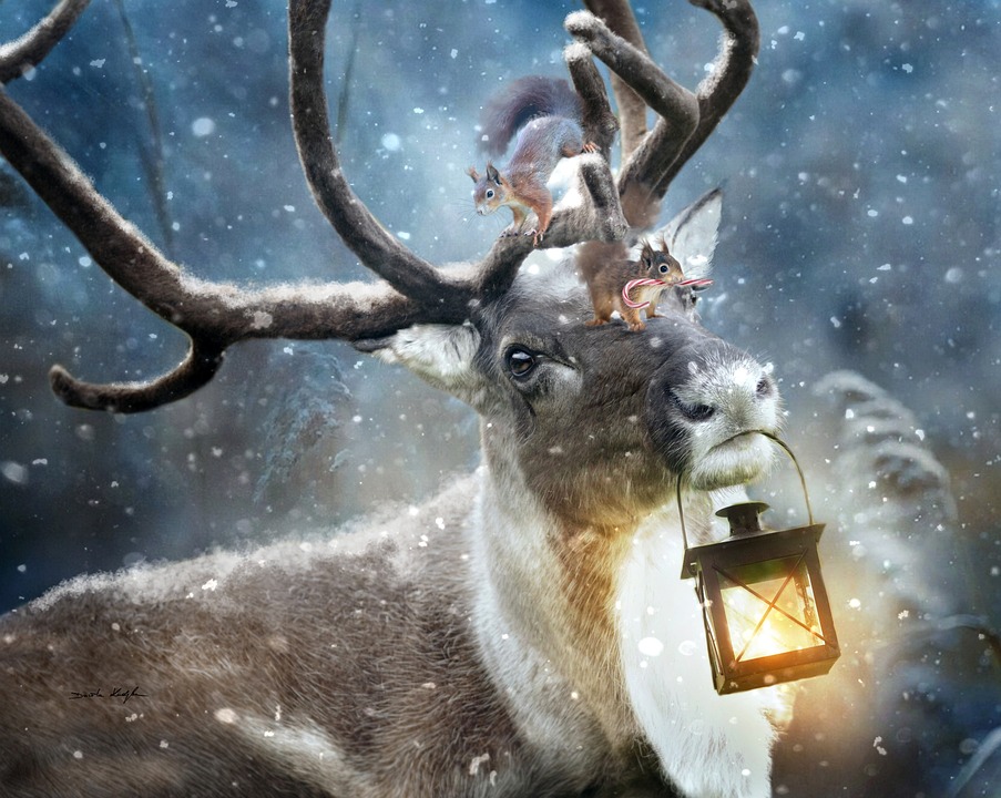 Digitale bKV: ofelos revolutioniert die Gesundheitsvorsorge in Firmen!