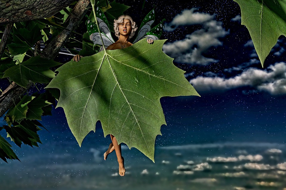 Entdecken Sie Albanien: Die TEA-App bringt Kultur und Spaß in den Sommer!